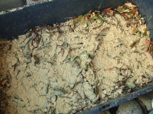 f0041606_2028178.jpg