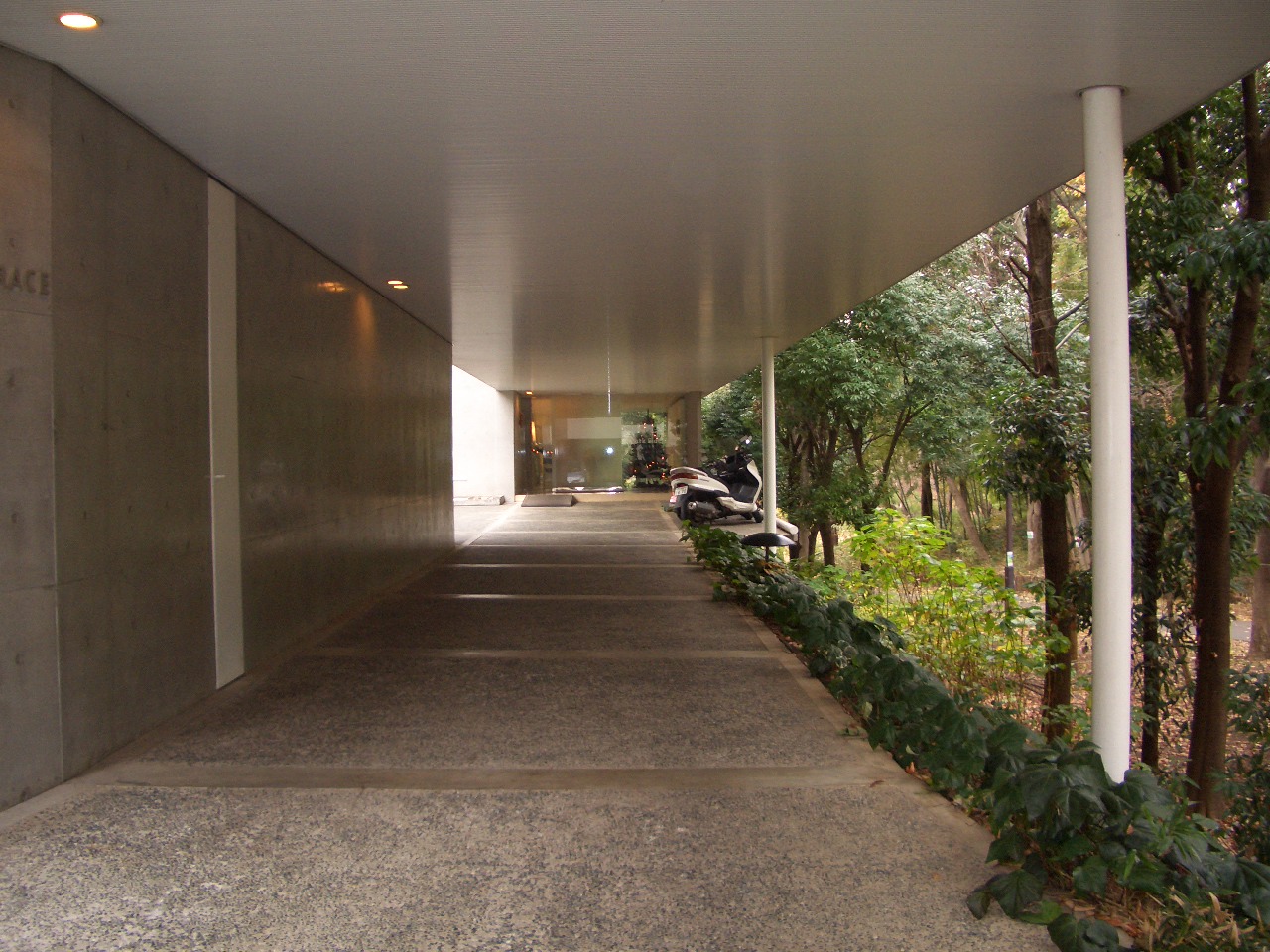 c0103119_1936649.jpg