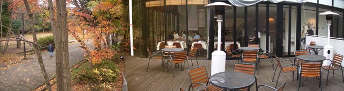 c0103119_19392335.jpg