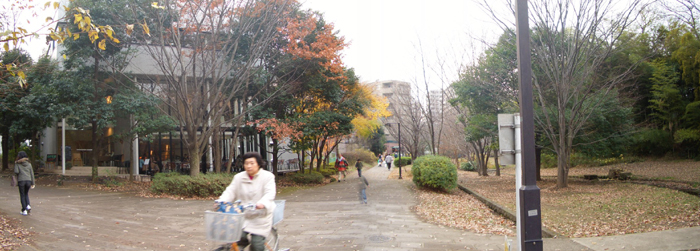 c0103119_1940953.jpg
