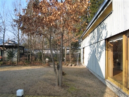 e0002820_22402293.jpg