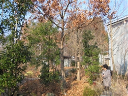e0002820_22411163.jpg