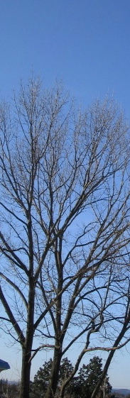 f0107724_22484461.jpg