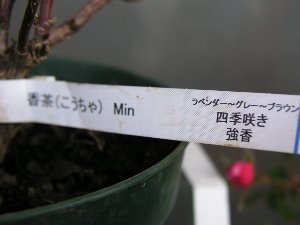 b0031925_22374328.jpg