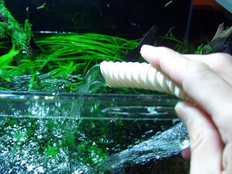 c0087937_2282063.jpg