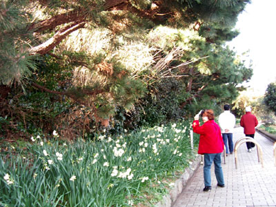 c0068639_14435996.jpg
