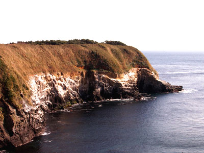 c0068639_14501297.jpg