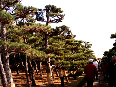 c0068639_14544611.jpg