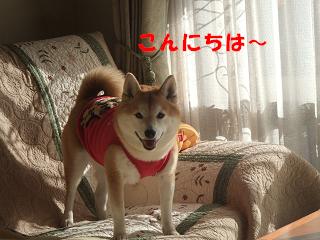 f0075043_1764883.jpg
