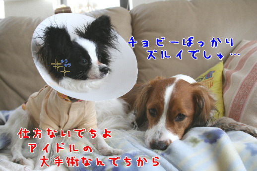 d0013149_026656.jpg