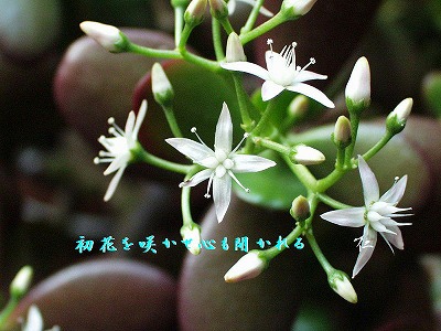 e0017651_122140100.jpg