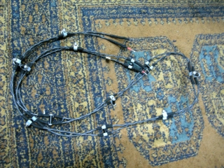 f0000652_1365575.jpg