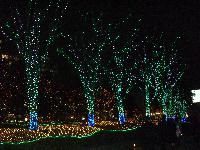 f0031554_11213995.jpg