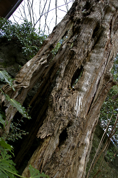 d0100156_201743100.jpg