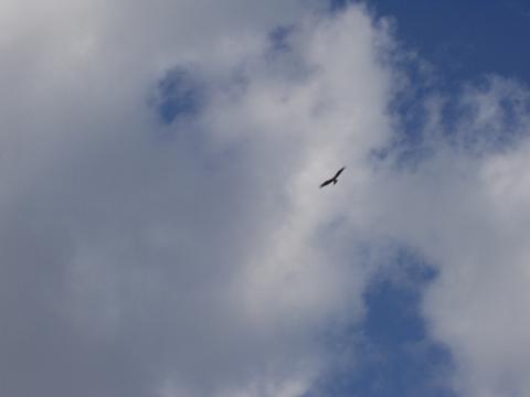 d0008157_13252485.jpg
