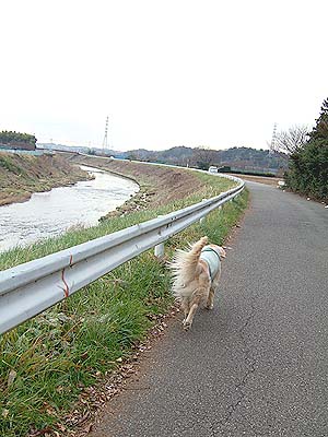 c0097558_461427.jpg
