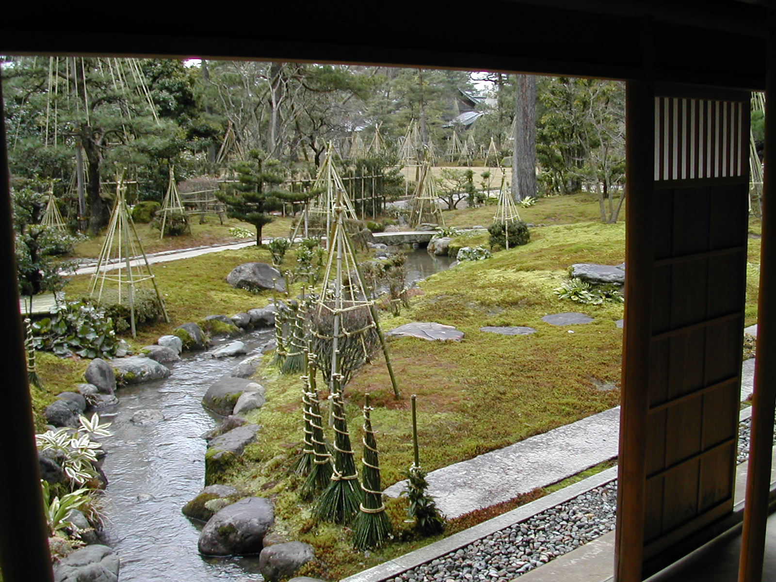 c0001060_22757.jpg