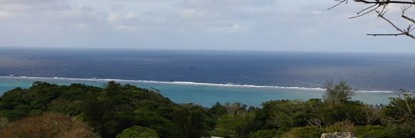 c0062361_20372026.jpg