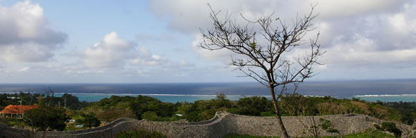 c0062361_20395576.jpg