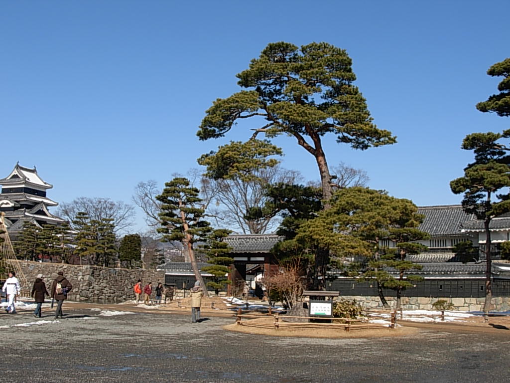 d0048366_1544647.jpg