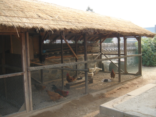 f0091590_2435474.jpg