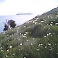 f0010195_19192690.jpg