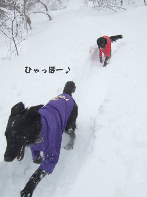 c0050400_1340251.jpg