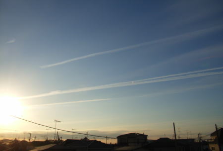a0058605_8595061.jpg