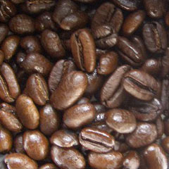 c0036617_2038145.jpg