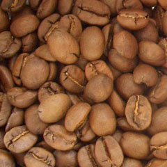 c0036617_20381663.jpg