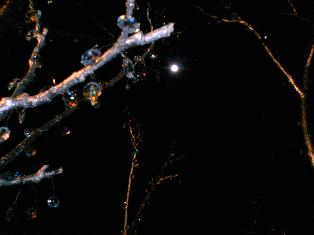 e0063317_15182390.jpg