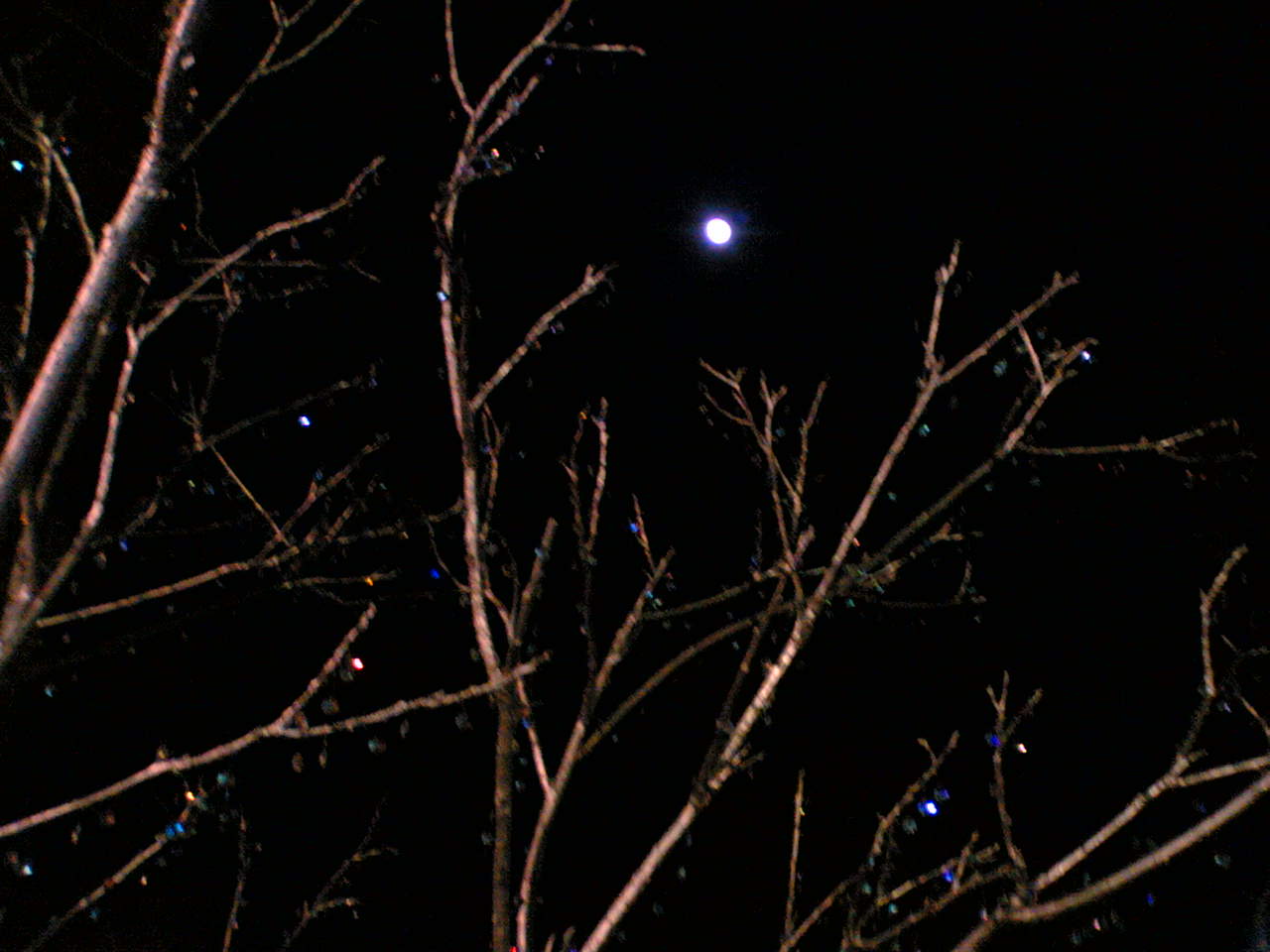 e0063317_15194454.jpg