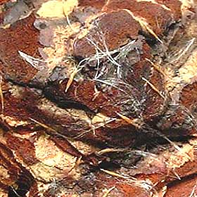 b0016219_23414670.jpg