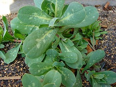 f0054421_20532038.jpg