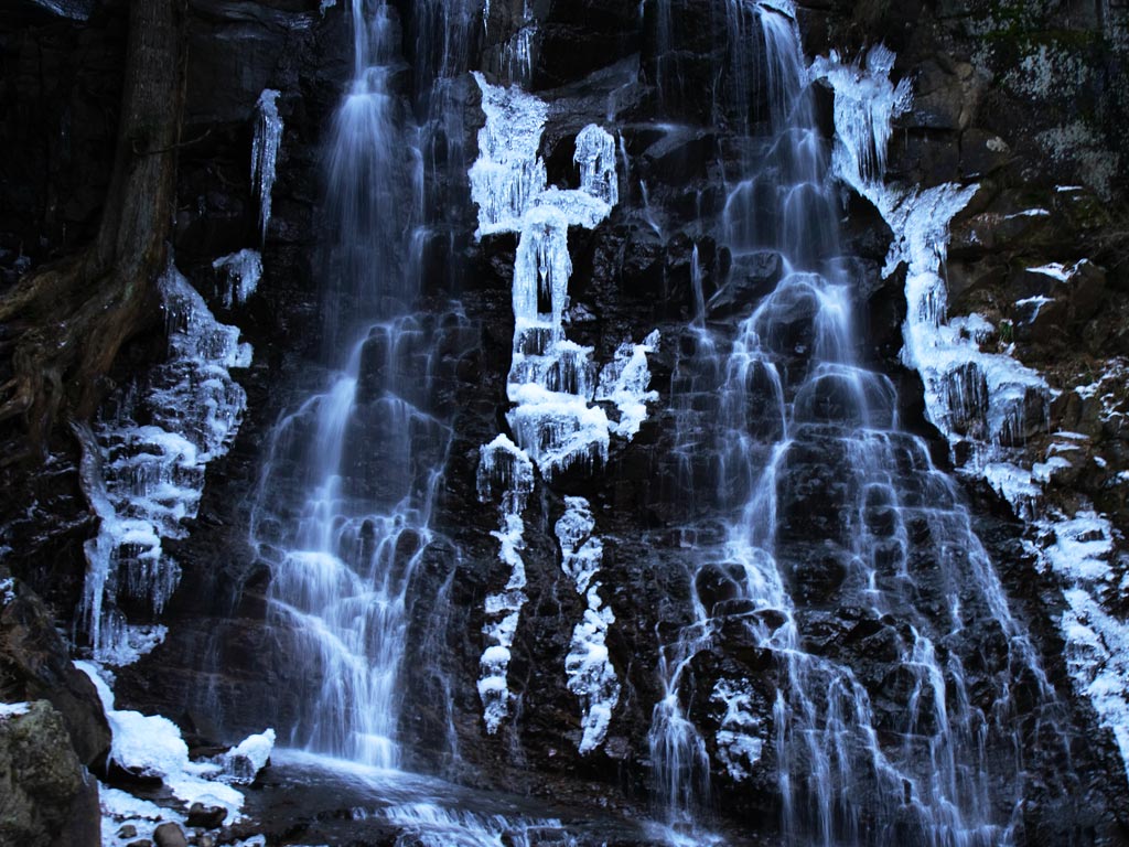 f0035323_11231929.jpg