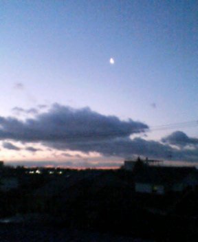 c0020127_6311114.jpg