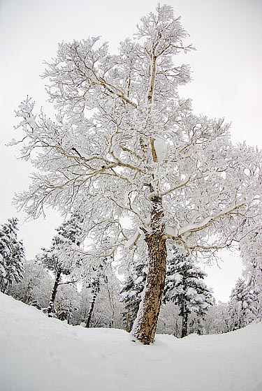 e0025030_18522157.jpg