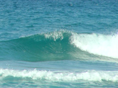 d0018131_9313651.jpg