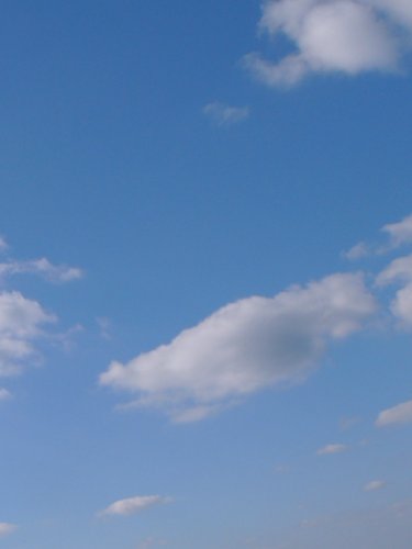 d0018131_9322876.jpg