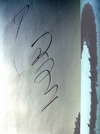 c0072432_14585570.jpg
