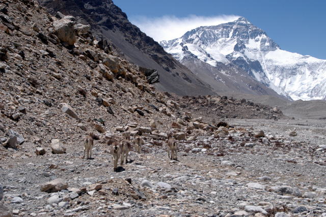 d0091834_1611384.jpg