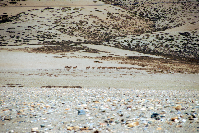 d0091834_16115824.jpg