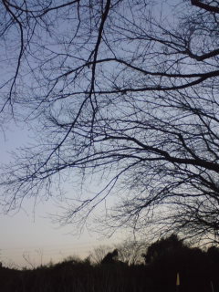 b0062337_0572623.jpg