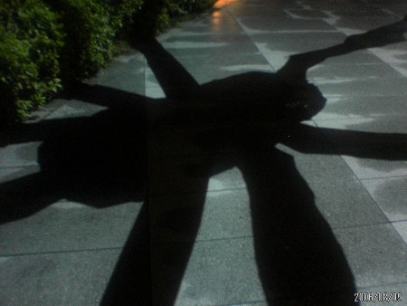c0022340_22181267.jpg