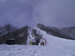 f0065341_2022244.jpg