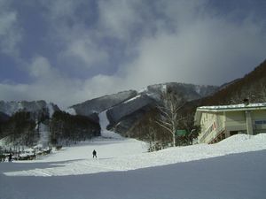 f0065341_2024242.jpg