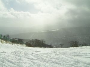 f0065341_20274342.jpg