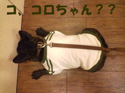 e0040544_1213053.jpg