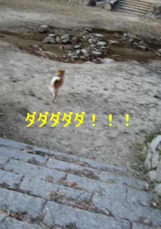 e0085147_1530228.jpg