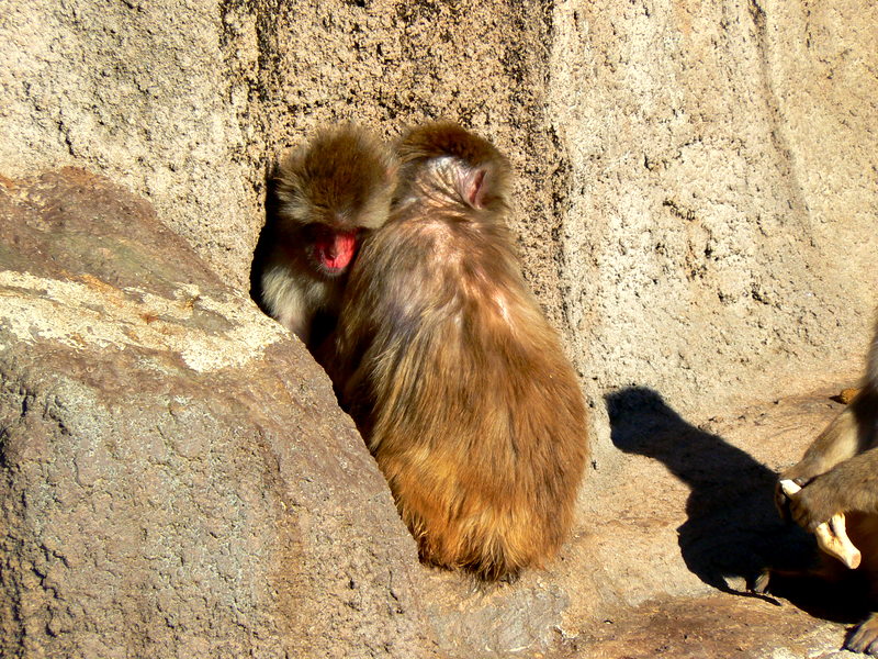 f0097047_9472113.jpg